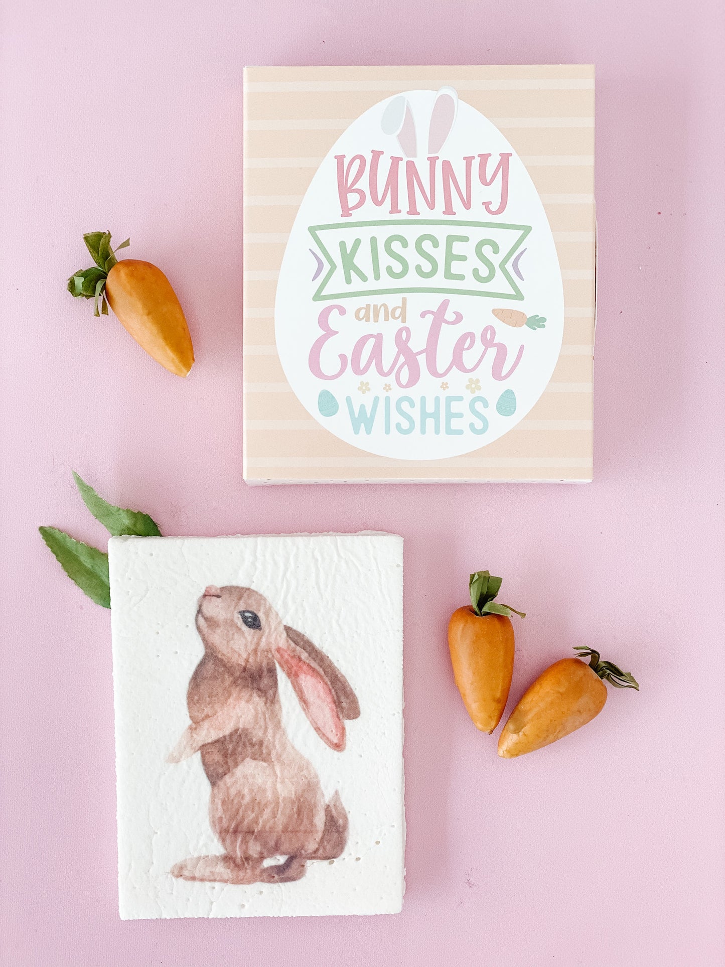 Bunny Book Marshmallow 📚🐰💕