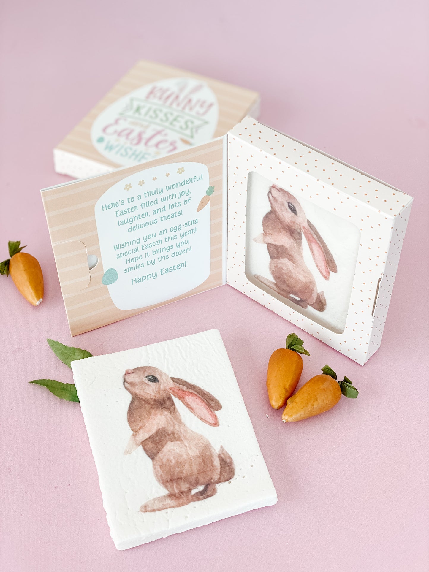 Bunny Book Marshmallow 📚🐰💕