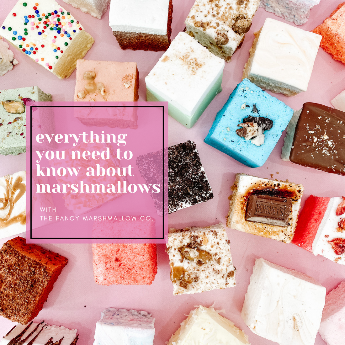 Everything You Need to Know About Marshmallows: Ingredients, Health, History, and More!